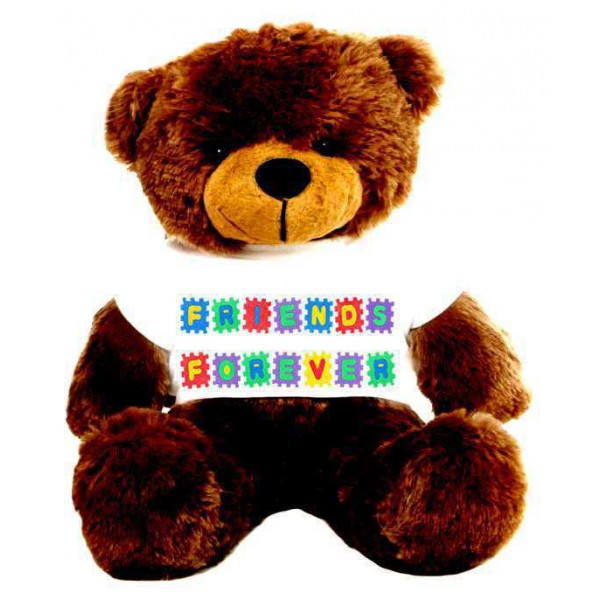 Brown 2 feet Big Teddy Bear wearing a Friends Forever T-shirt